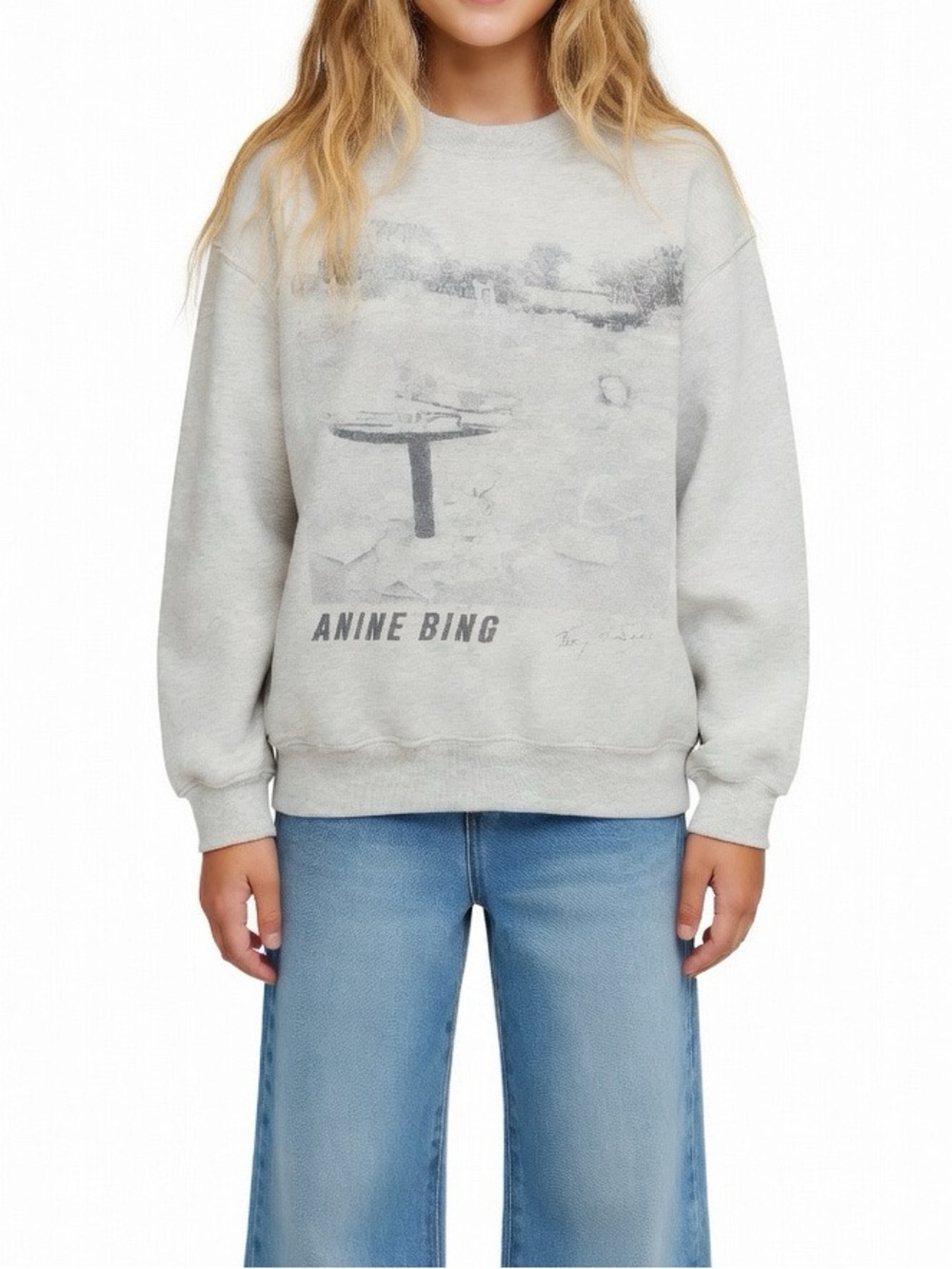 Anine Bing x Terry O Neill Ramona Grey Graphic Crew Sweatshirt